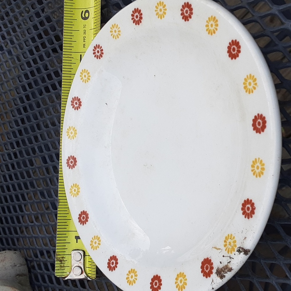 Pretty vintage side dish plate.